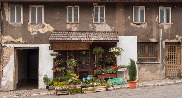 'Hayatta Kalma Sanatı' sergisi açıldı