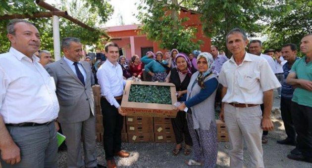 Kadın çiftçiler ve Lalegölü Biberi Projesi