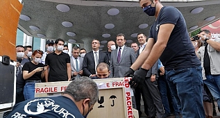 Bellini'nin yaptığı Fatih'in tablosu İstanbul'a getirildi